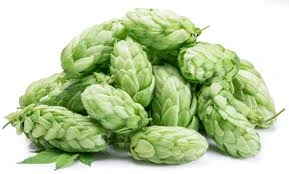 Hops