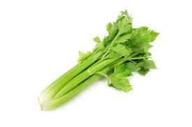 Plant Extracts