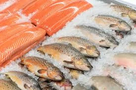 Salmon