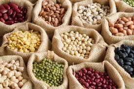 Dried Legumes